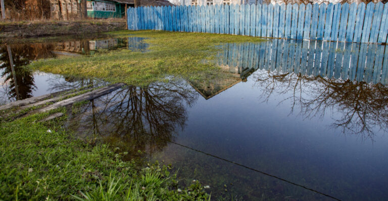 The Florida Yard Drainage Problem That Every New Homeowner Discovers After The First Rainy Season