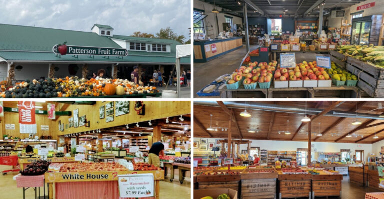 The Best Ohio Apple Orchards Worth Visiting Before The Season Peaks