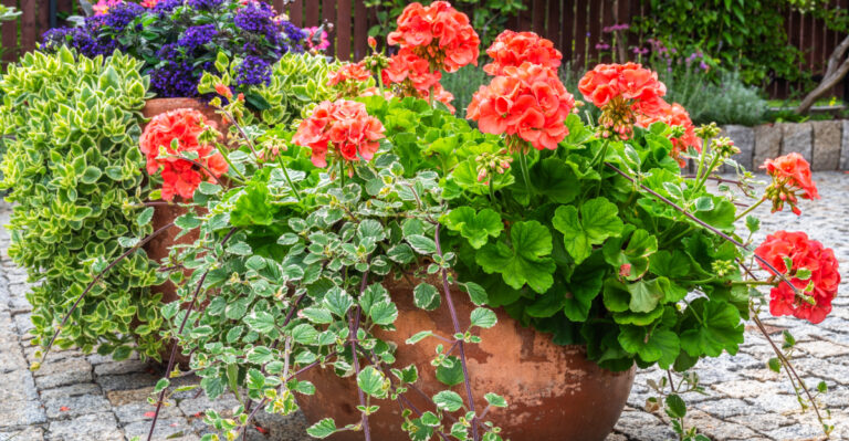 container with flowers
