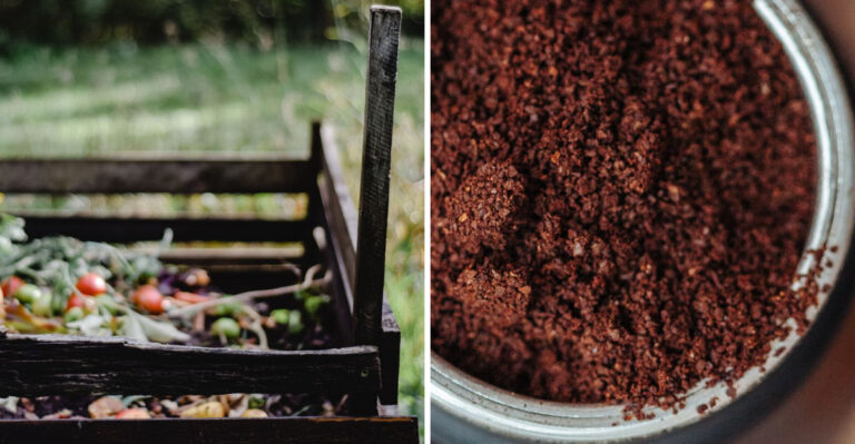 Illinois Compost Breaks Down Faster Now, Here’s Why And What It Needs