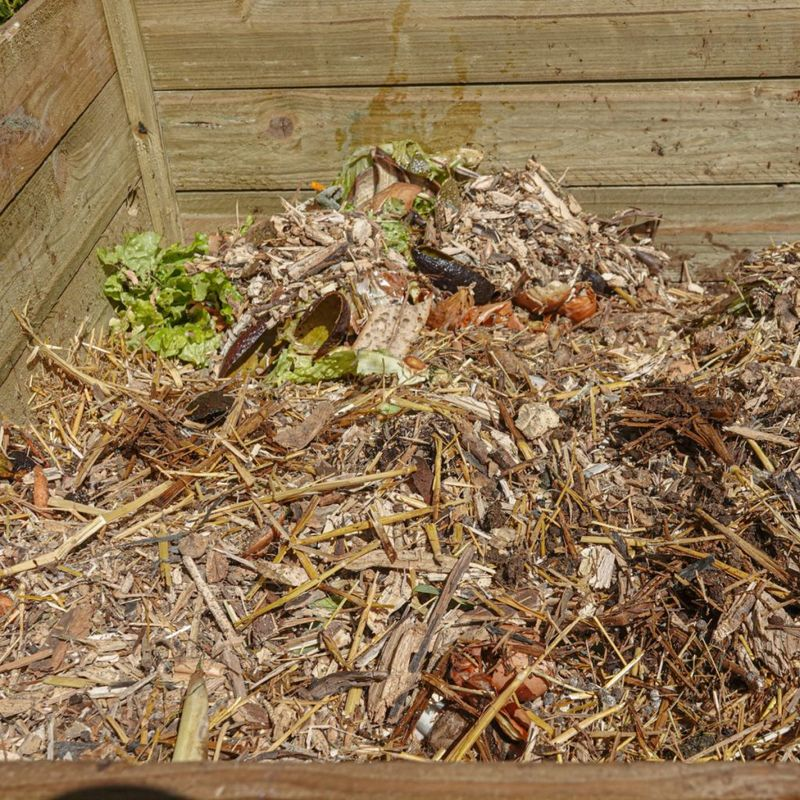 How To Keep A Compost Pile Working Through Georgia Summer Heat