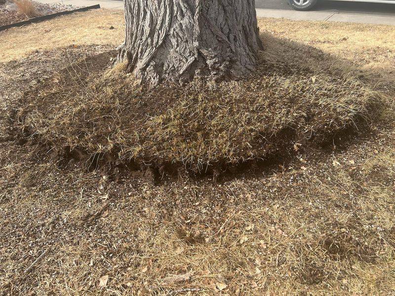 1. Check The Soil Before You Reach For The Hose