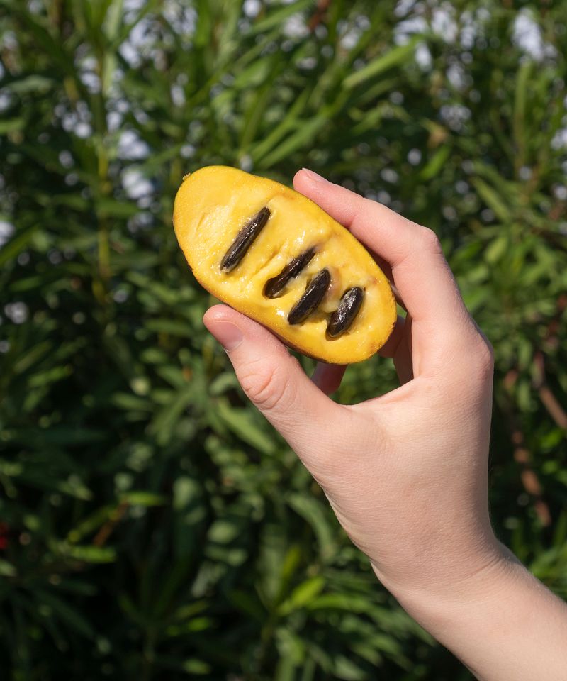 2. Soft Fruit Means The Harvest Is Ready