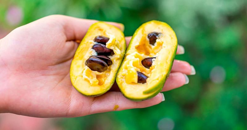 4. Huge Seeds Hide Inside The Custard-Like Flesh