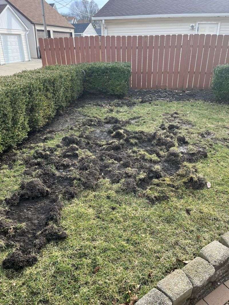 4. Loose Sod Makes The Search Much Easier 4. Loose Sod Makes The Search Much Easier
