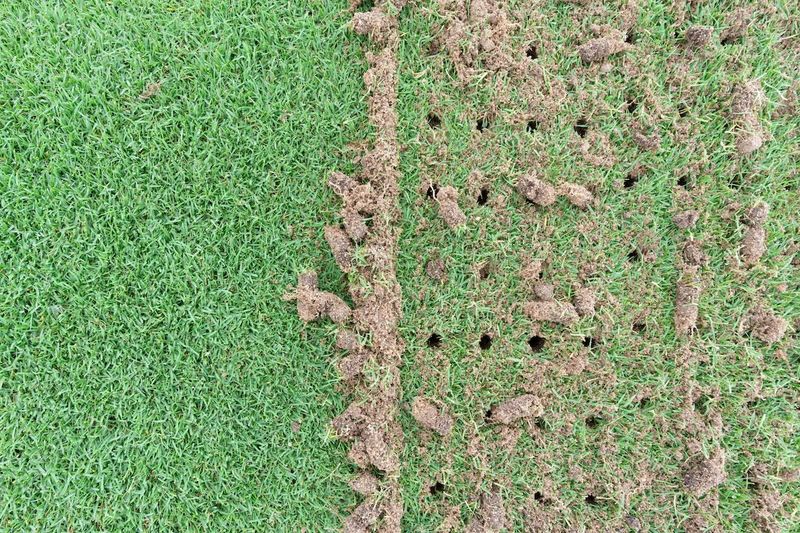 5. Core Aeration Opens Up Compacted Ground