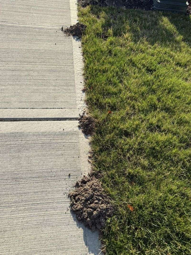 5. Molehills Signal Deeper Digging Below