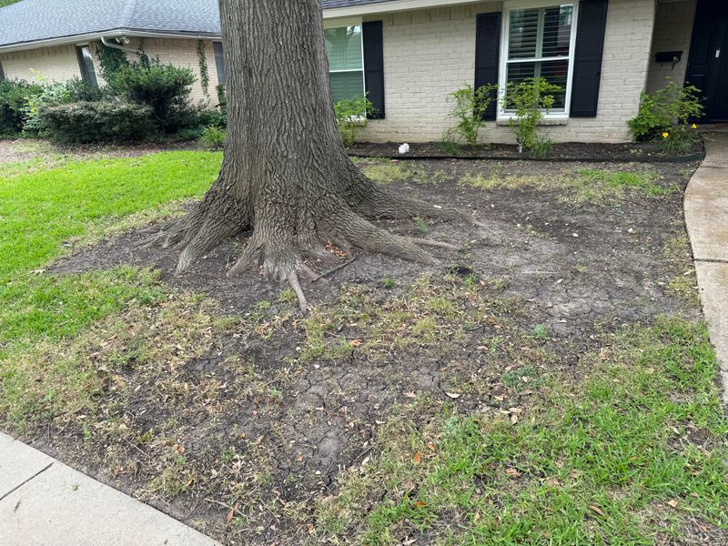 7. Skip The Late-Summer Fertilizer Push