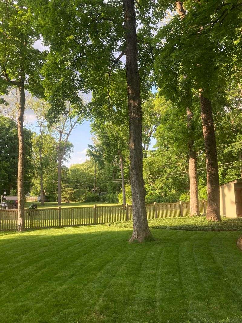 8. Treating Shade Like A Sunny Garden 8. Treating Shade Like A Sunny Garden