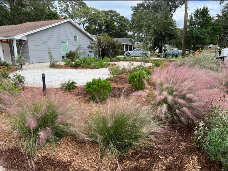 A Busy Food Web Makes The Yard More Valuable Than A Sterile Lawn