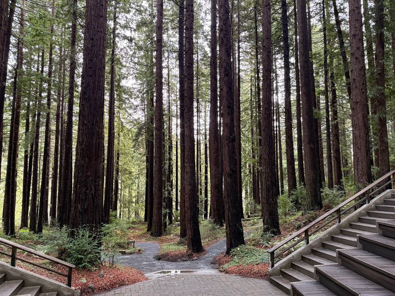 A California Garden That Predates Most Of Its Neighbors