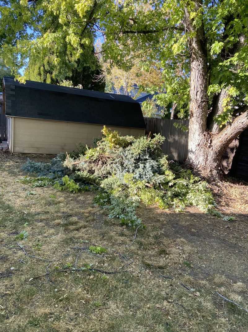 A Clean Yard Cannot Fix A Crowded Roofline A Clean Yard Cannot Fix A Crowded Roofline