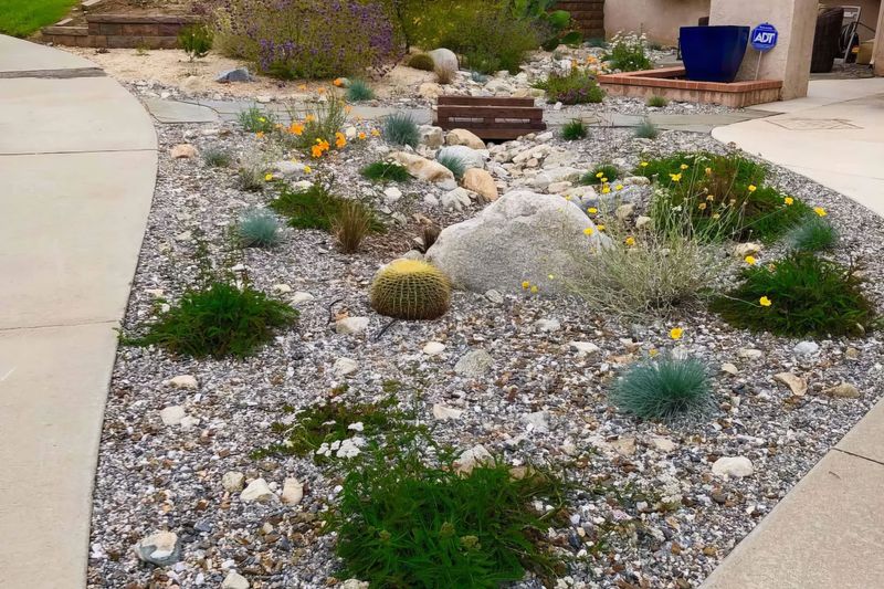 A Clear Border Separates Plants From Exterior Walls A Clear Border Separates Plants From Exterior Walls