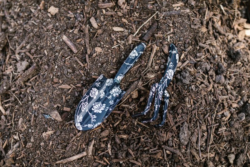 A Common Backyard Mulch Mistake In New Jersey A Common Backyard Mulch Mistake In New Jersey