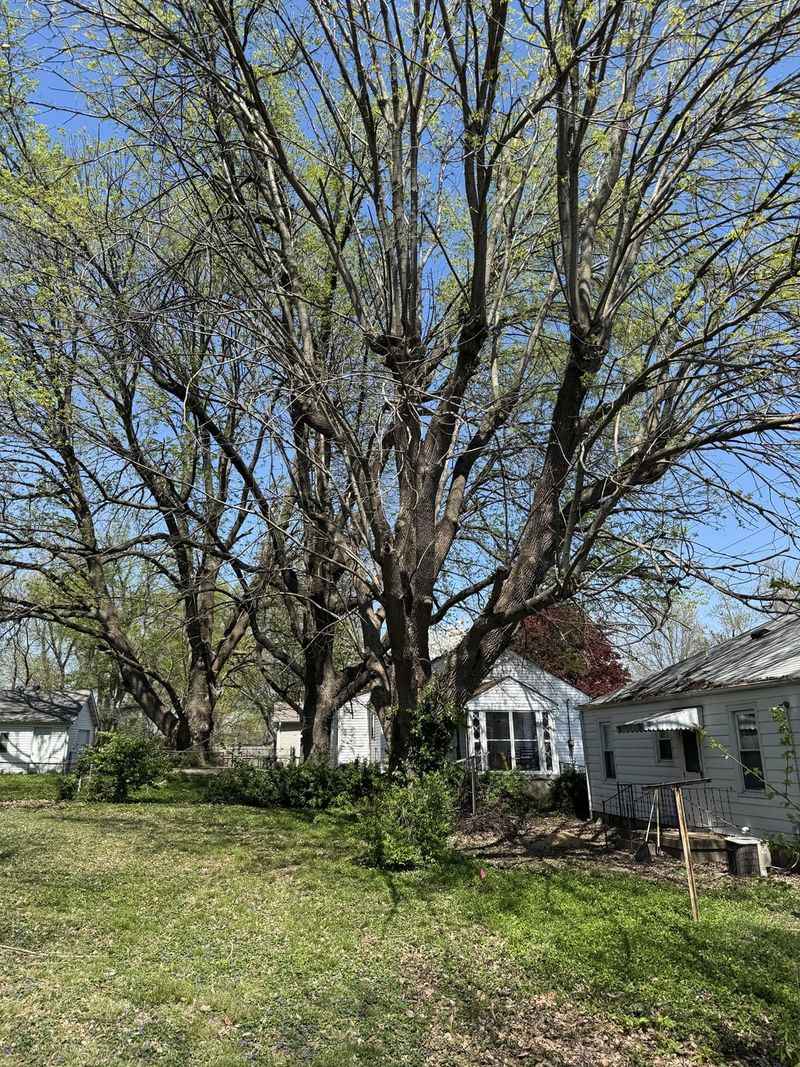 A Court May Have The Final Say On Removal A Court May Have The Final Say On Removal