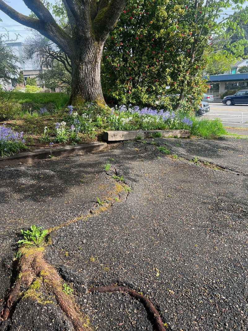 A Cracked Driveway Can Become A Property Damage Claim