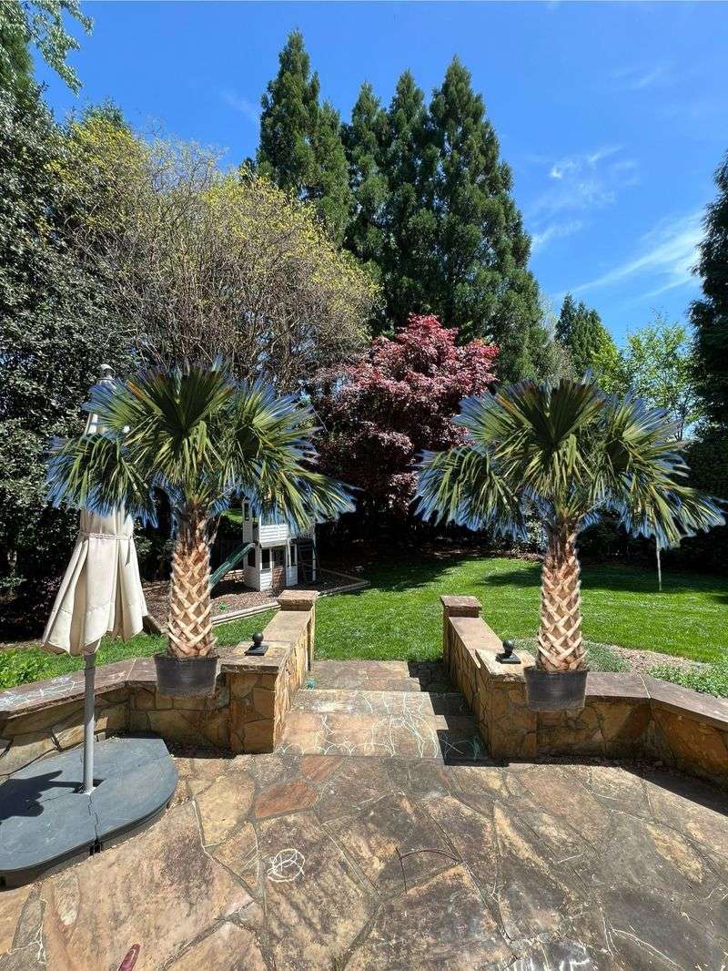 A Few Well Placed Trees Reshape The Whole Yard's Comfort