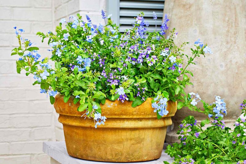 A Five-Minute August Reset Can Keep The Porch From Becoming Permanent Shelter