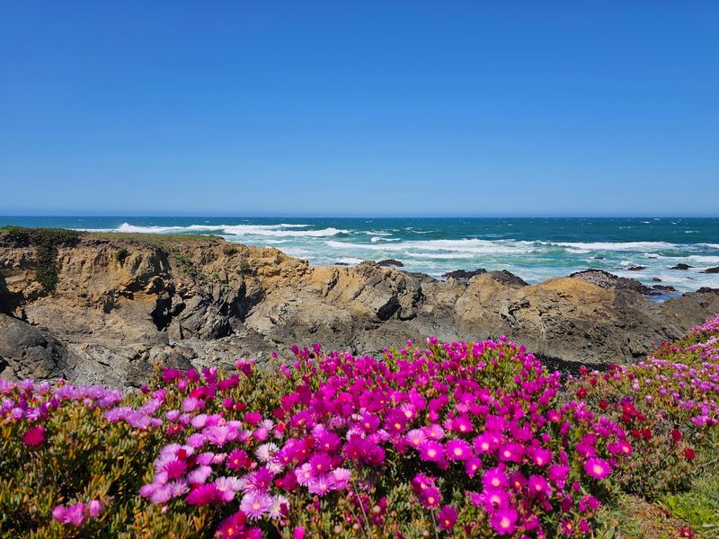A Garden That Runs All The Way To The Ocean