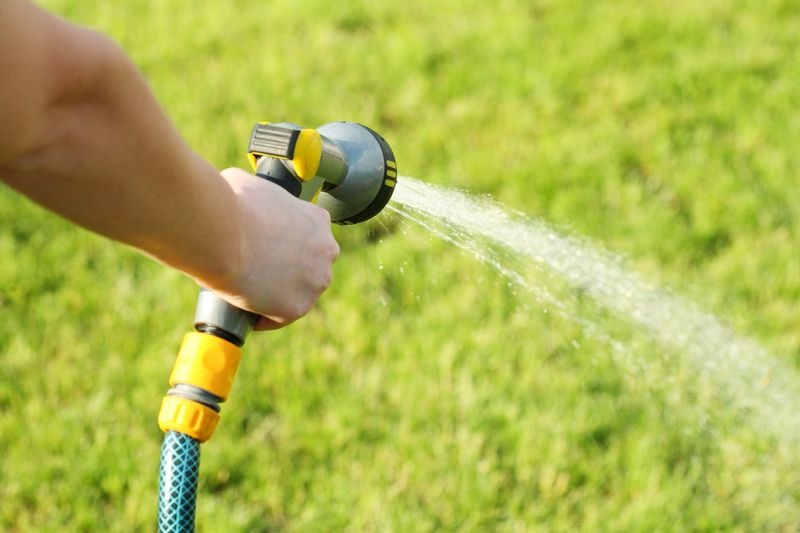 A Gentle Watering Is Different From A Thunderstorm Downpour