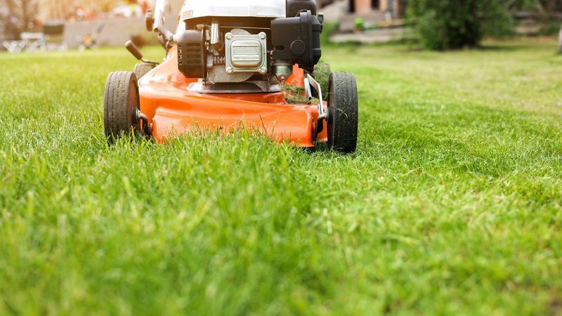 A Head Start Makes Winter Maintenance Easier To Plan A Head Start Makes Winter Maintenance Easier To Plan