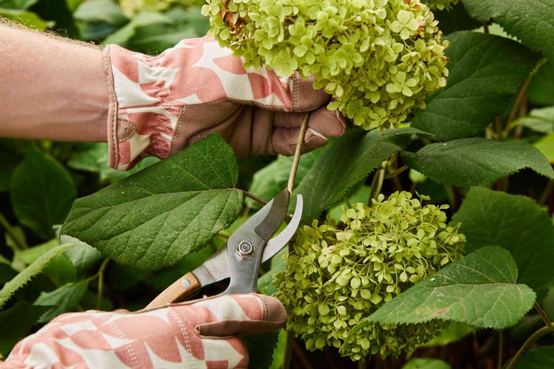 A Light Cleanup Is Better Than Heavy Pruning