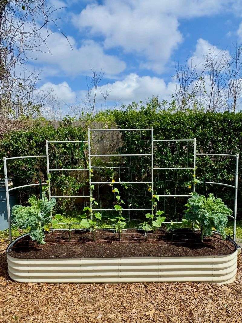 A Little Work Now Creates A Bigger Spring Display