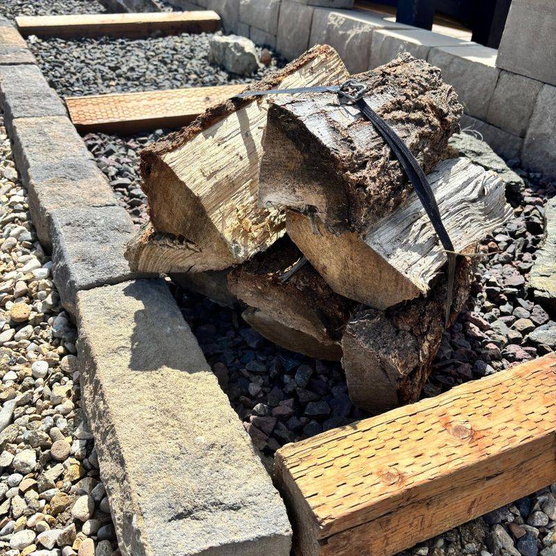 A Piece Of Firewood Can Hide More Than You Can See A Piece Of Firewood Can Hide More Than You Can See
