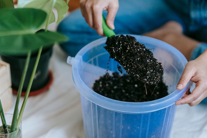 A Potting Mix That Balances Moisture And Drainage A Potting Mix That Balances Moisture And Drainage