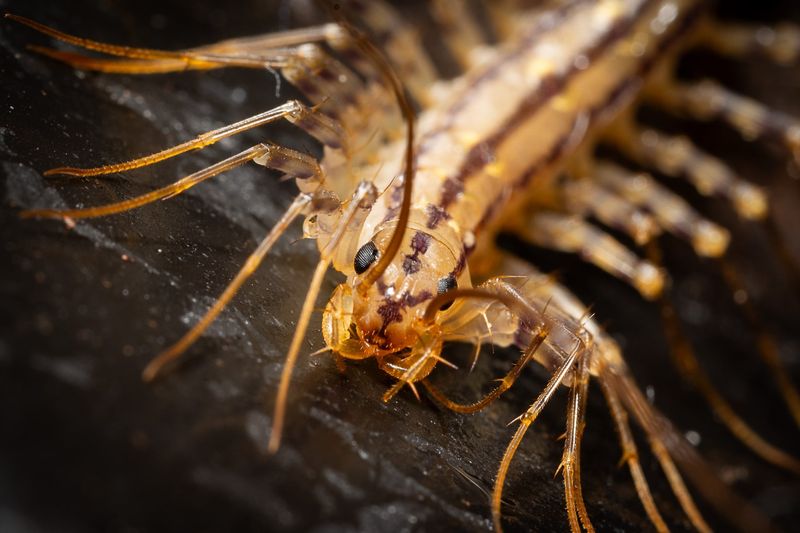 A Response To Moisture, Not A Warning Sign