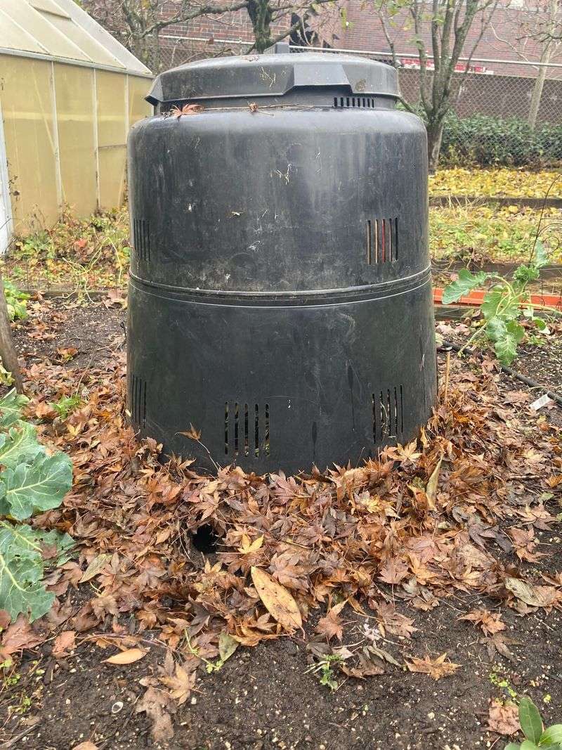 A Secure Bin Makes The Food Much Harder To Reach