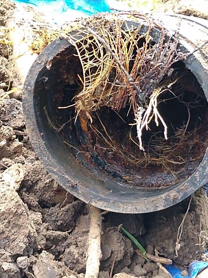 A Sewer Camera Can Help Find The Problem A Sewer Camera Can Help Find The Problem