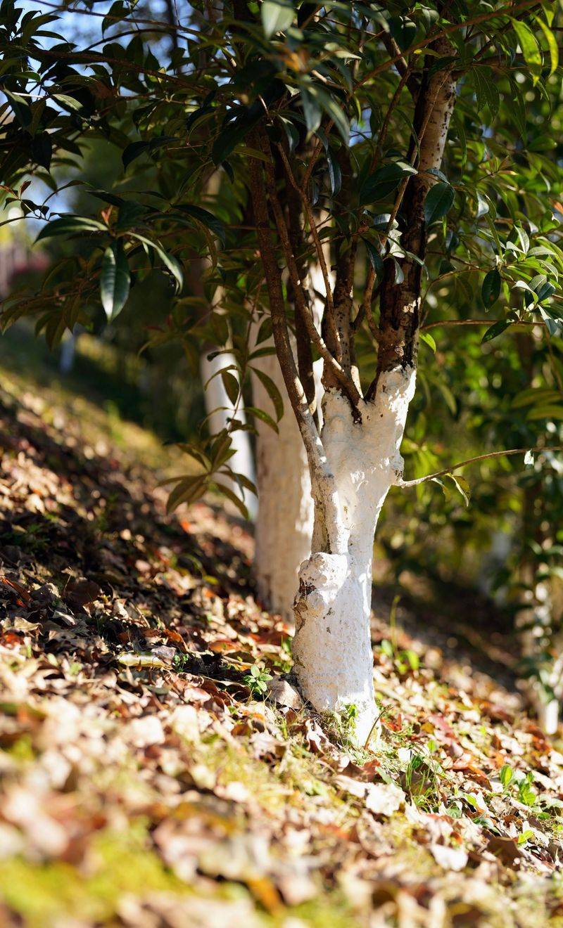 A Simple Fix Most Gardeners Overlook A Simple Fix Most Gardeners Overlook