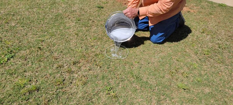 A Soap Flush Can Reveal Caterpillars Hiding Below