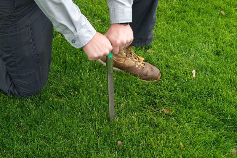 A Soil Test Can Tell You What The Lawn Actually Needs A Soil Test Can Tell You What The Lawn Actually Needs
