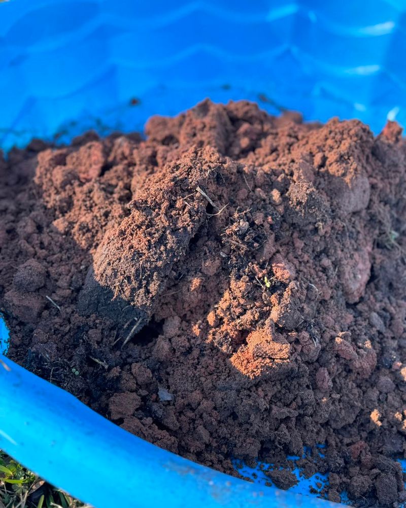 A Soil Test Takes Away The Guesswork A Soil Test Takes Away The Guesswork
