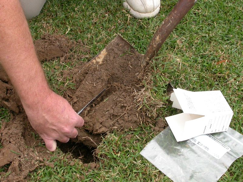 A Toad Is Not a Soil Test A Toad Is Not a Soil Test