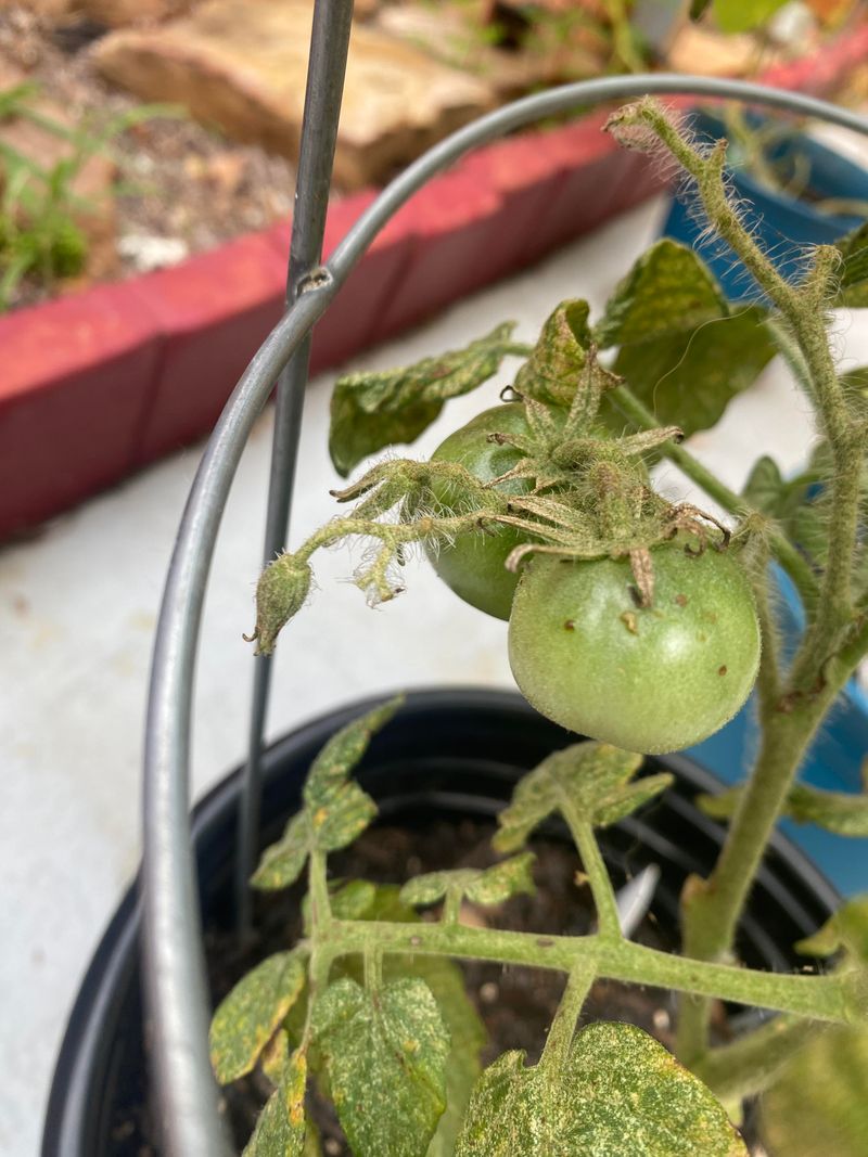 A White-Surface Test Can Help Confirm The Culprit