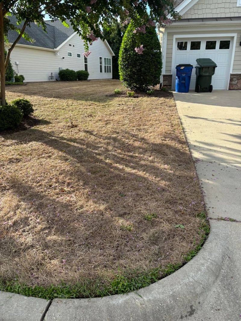 Acting Fast Saves The Rest Of The Yard