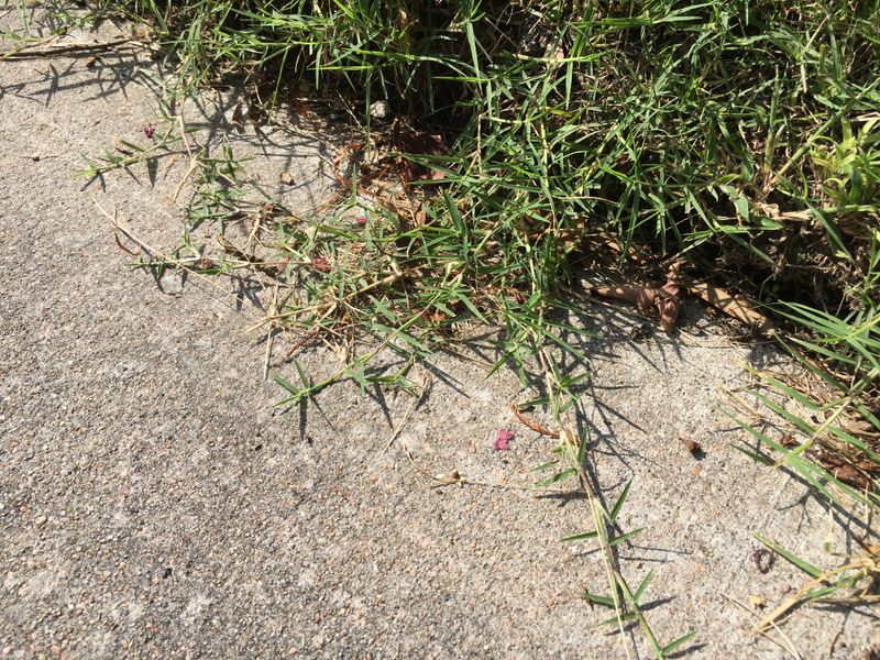 Active Growth Makes Every Runner Easier To Spot Active Growth Makes Every Runner Easier To Spot