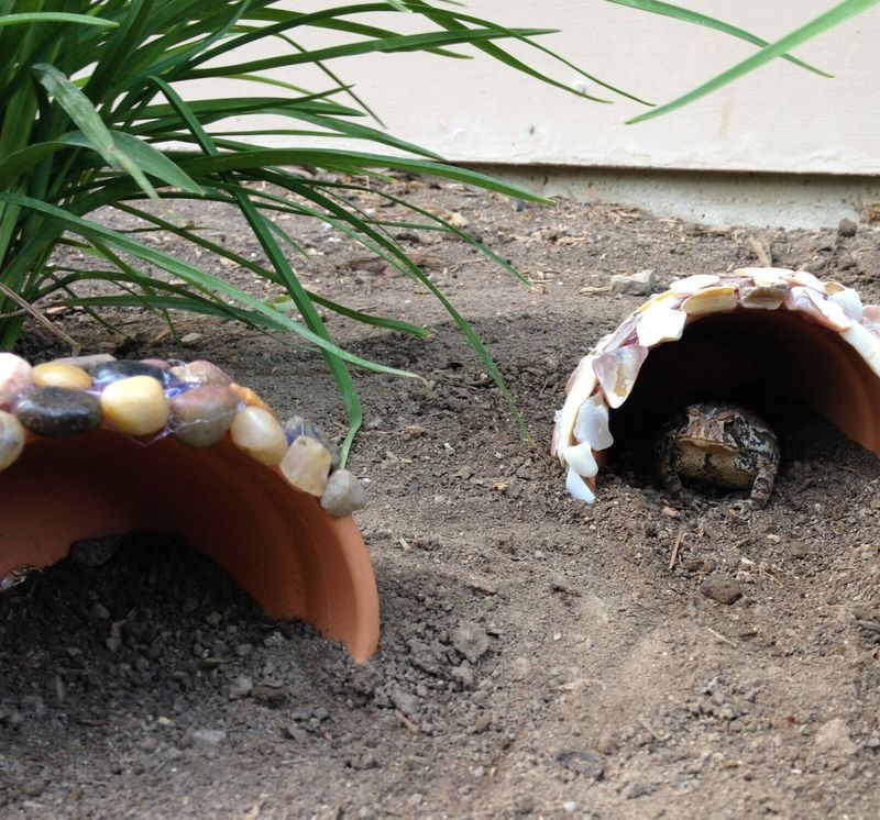 Add A Cool Shaded Toad Shelter
