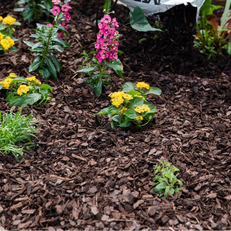 Add A Fresh Mulch Check Add A Fresh Mulch Check