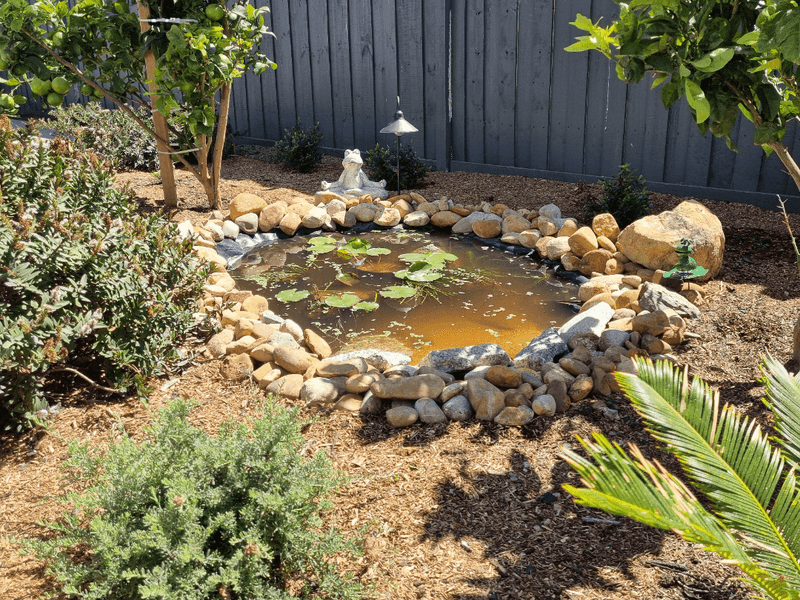 Add A Small Water Feature