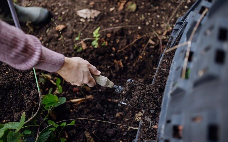 Add Compost To Improve Water Holding