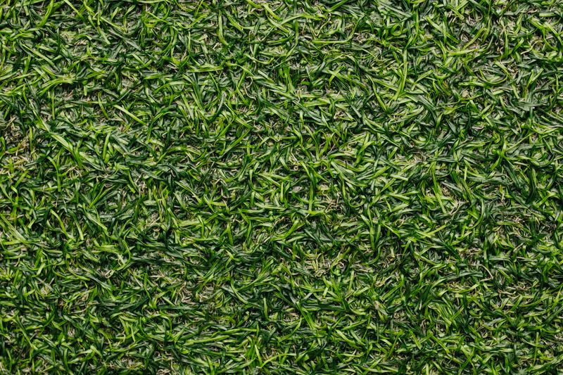 Add Durable Turf That Handles Heavy Traffic Add Durable Turf That Handles Heavy Traffic