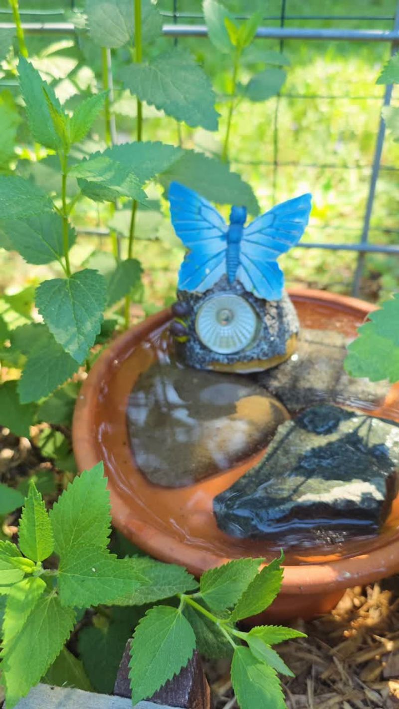 Add Water Sources