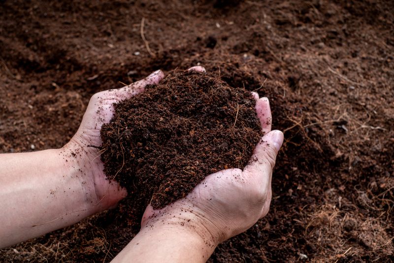 Adding Compost Early Gives It Time To Break Down Adding Compost Early Gives It Time To Break Down