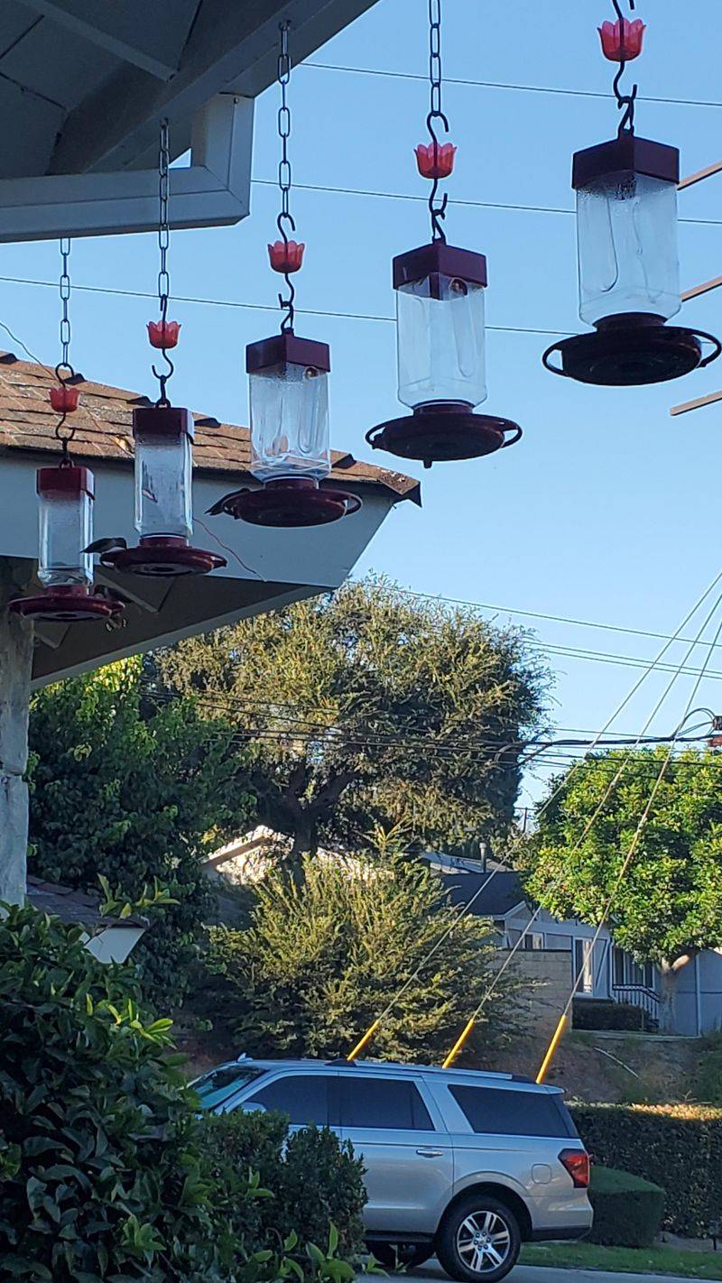 Adding More Feeders Can Spread Birds Out