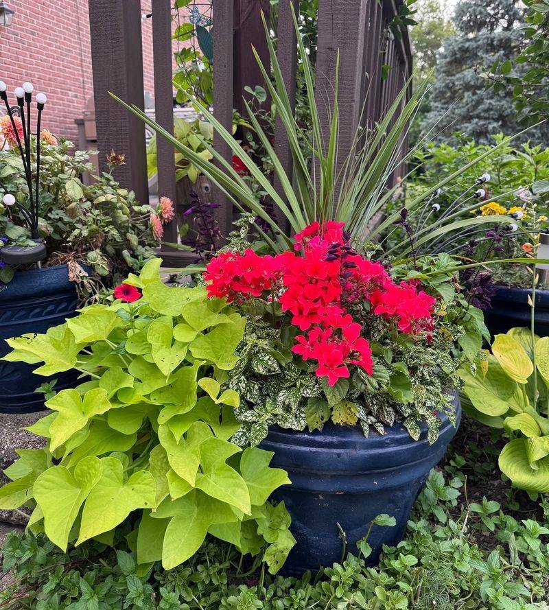 Adjust Irrigation After Monsoon Rain