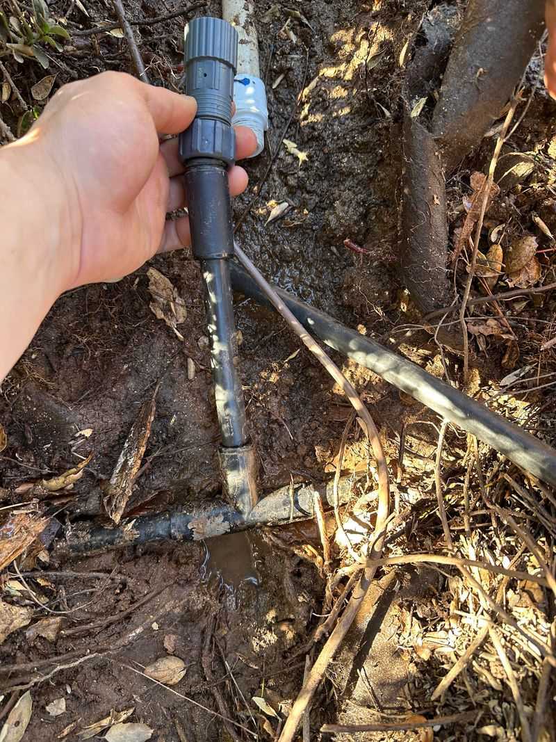 Adjusting Your Drip System For The Rest Of Summer